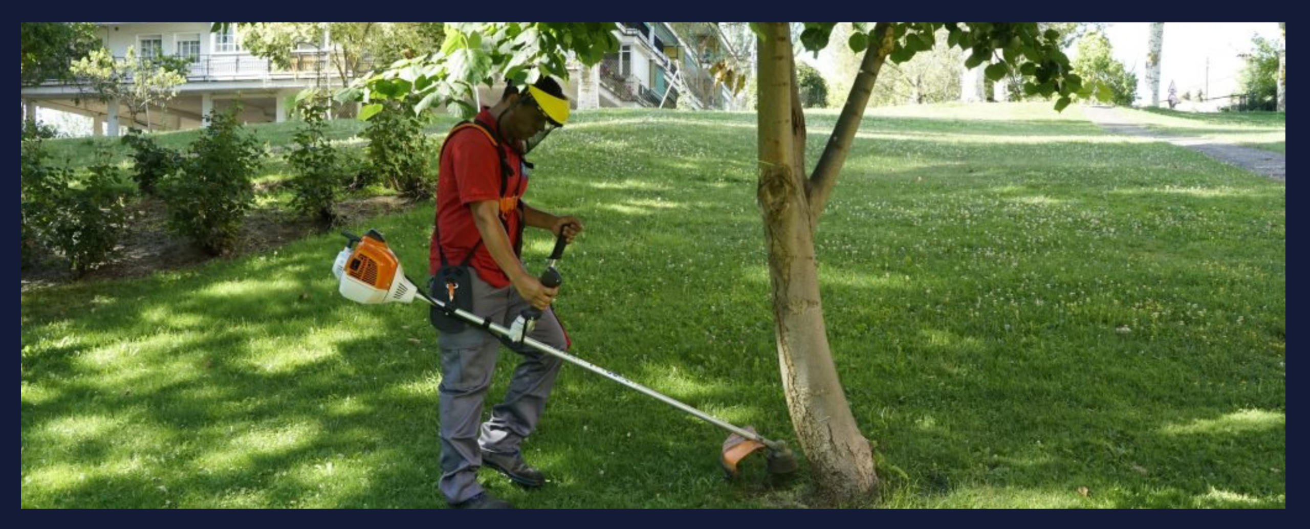 Servicio de Jardinería - Imagen 1