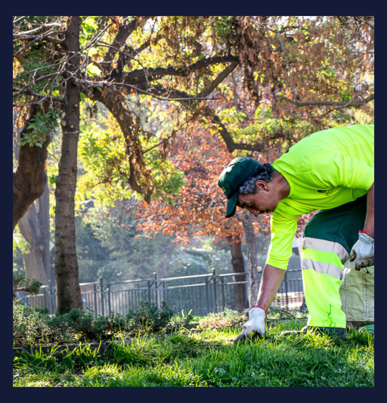 Servicio de Jardinería - Imagen 2
